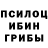 Галлюциногенные грибы Cubensis Cyck1o