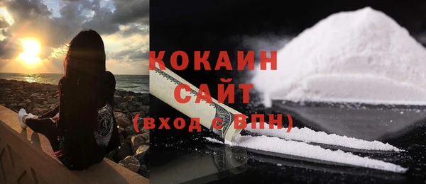 молекула духа Елабуга