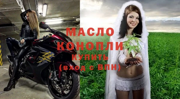 молекула духа Елабуга