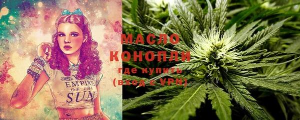 молекула духа Елабуга