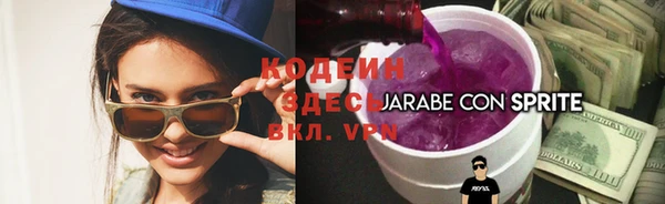молекула духа Елабуга