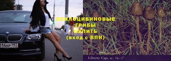 первитин Ельня