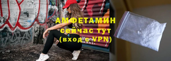 молекула духа Елабуга