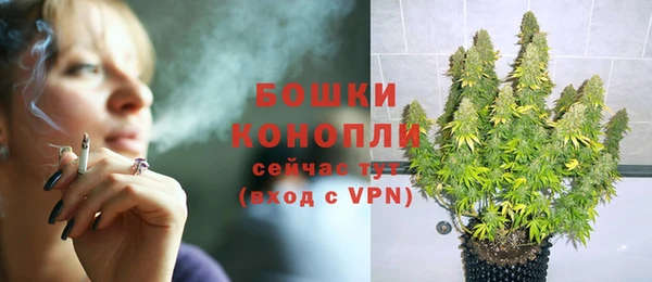 первитин Ельня