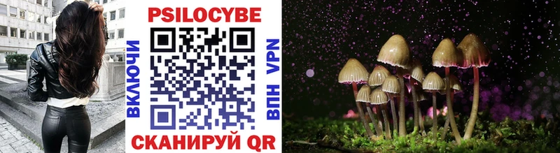 Галлюциногенные грибы Cubensis  Купить закладки  Волхов 